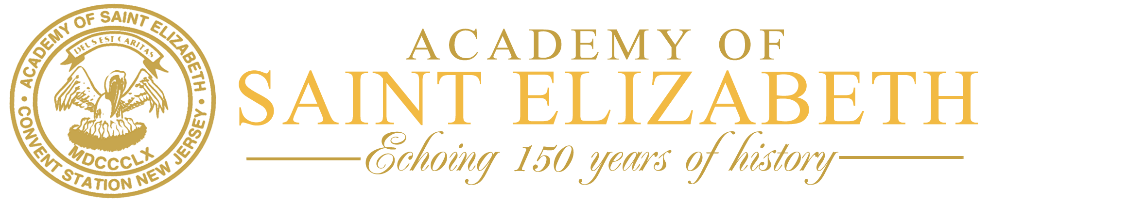 Academy of St Elizabeth